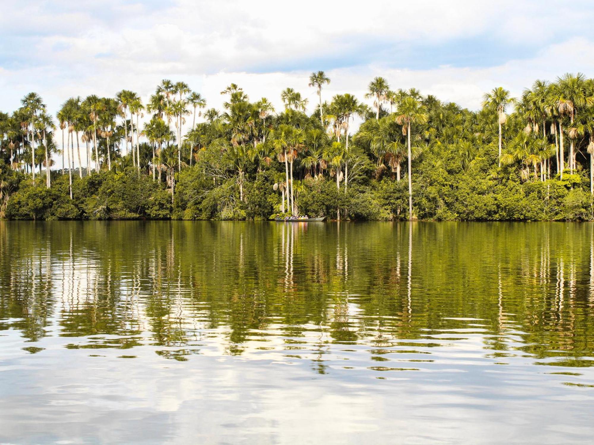 Corto Maltes Amazonia Lodge ปูแอร์โต มัลโดนาโด ภายนอก รูปภาพ