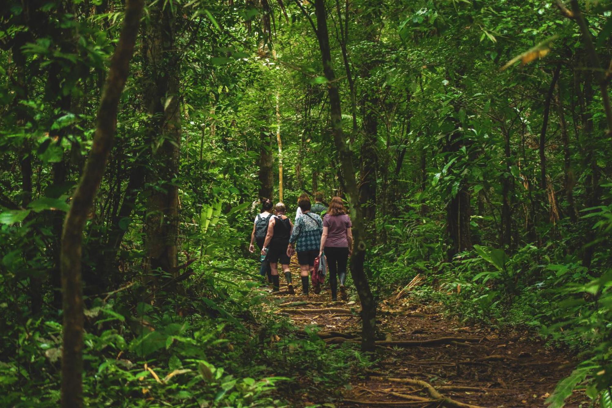 Corto Maltes Amazonia Lodge ปูแอร์โต มัลโดนาโด ภายนอก รูปภาพ