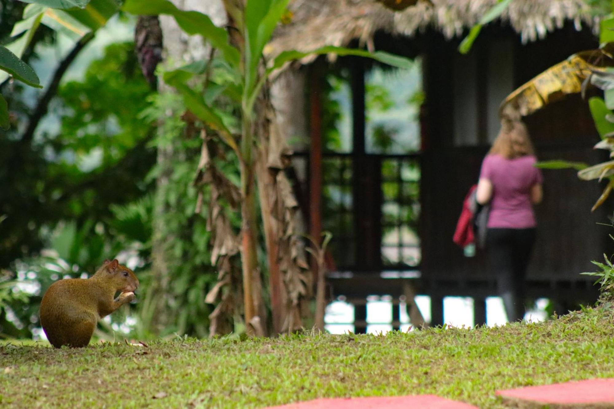 Corto Maltes Amazonia Lodge ปูแอร์โต มัลโดนาโด ภายนอก รูปภาพ