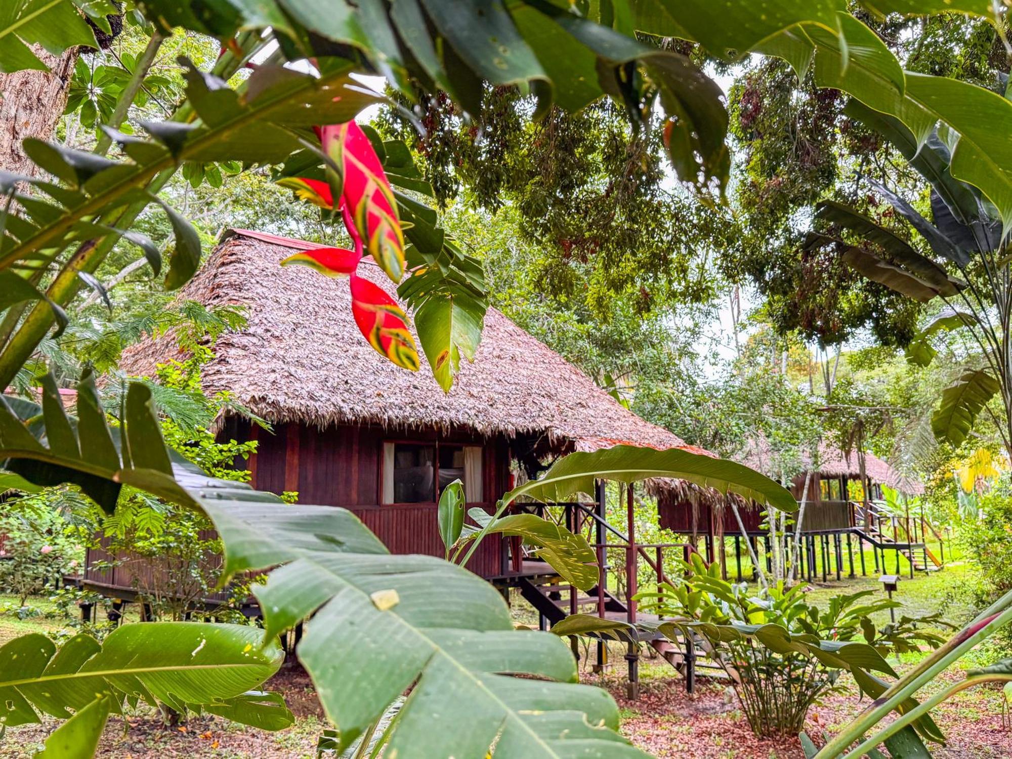 Corto Maltes Amazonia Lodge ปูแอร์โต มัลโดนาโด ภายนอก รูปภาพ