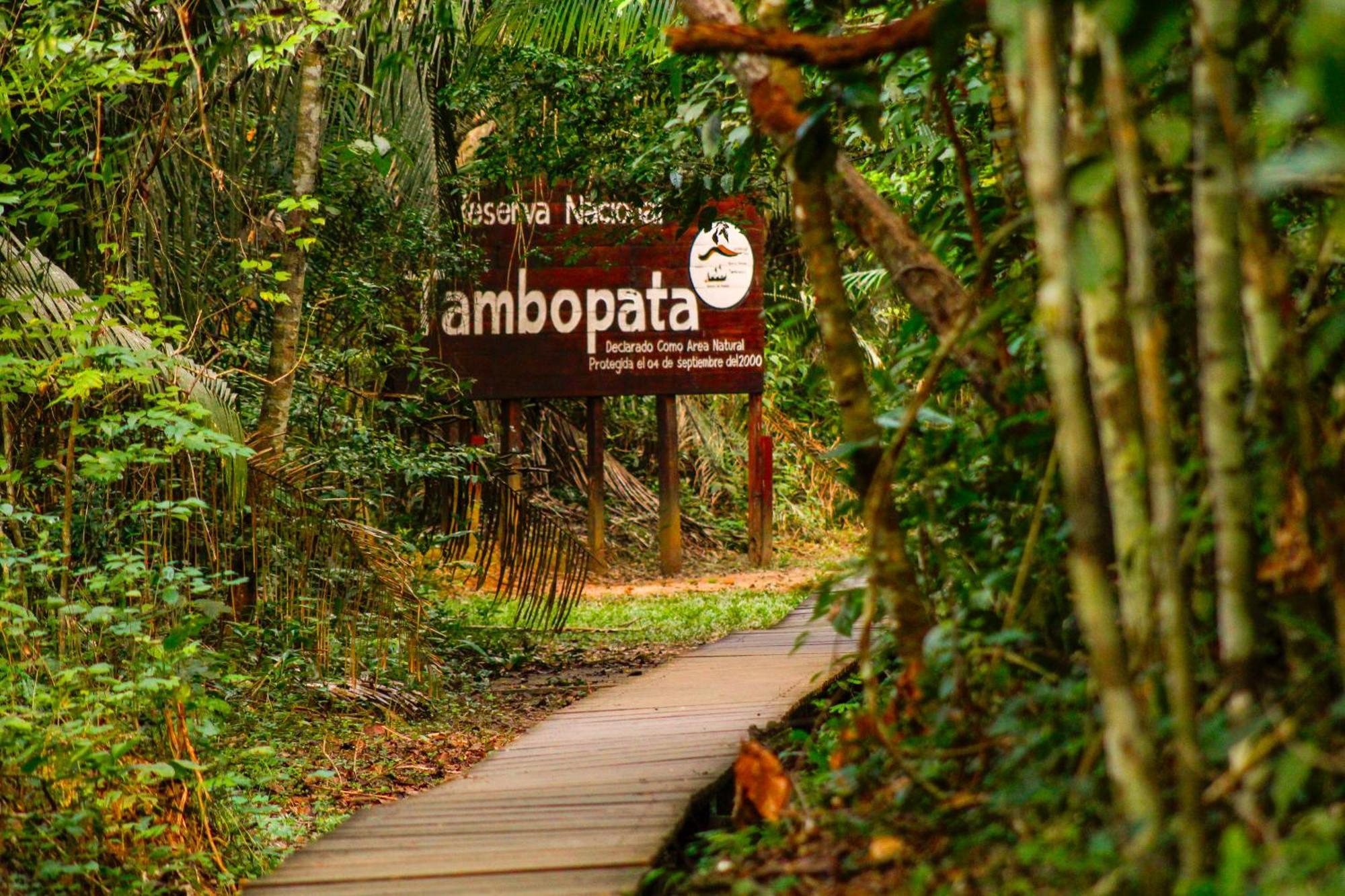 Corto Maltes Amazonia Lodge ปูแอร์โต มัลโดนาโด ภายนอก รูปภาพ