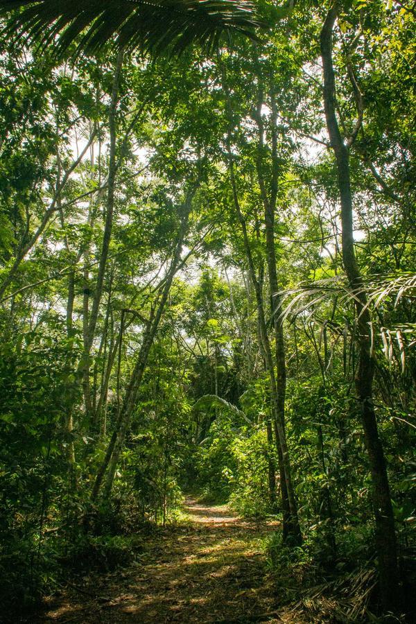 Corto Maltes Amazonia Lodge ปูแอร์โต มัลโดนาโด ภายนอก รูปภาพ