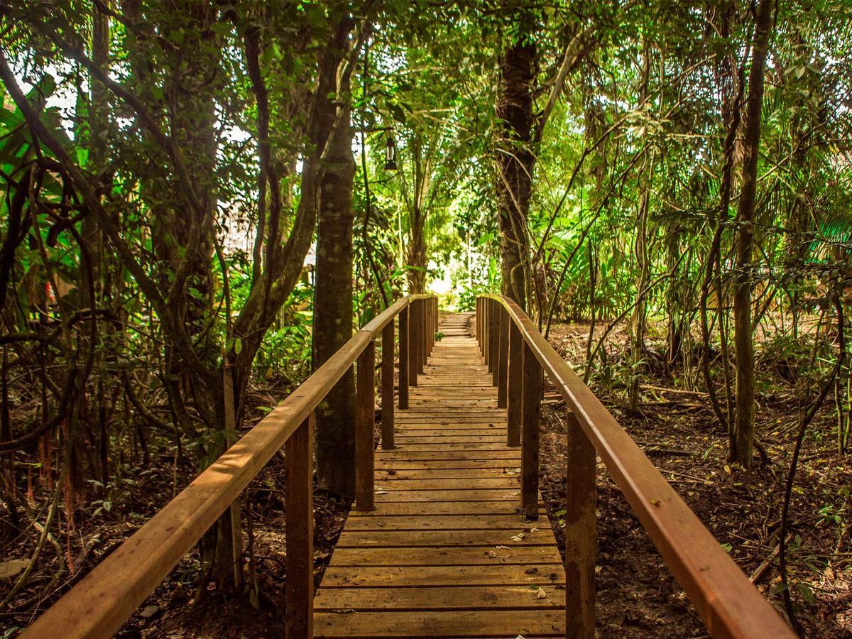 Corto Maltes Amazonia Lodge ปูแอร์โต มัลโดนาโด ภายนอก รูปภาพ